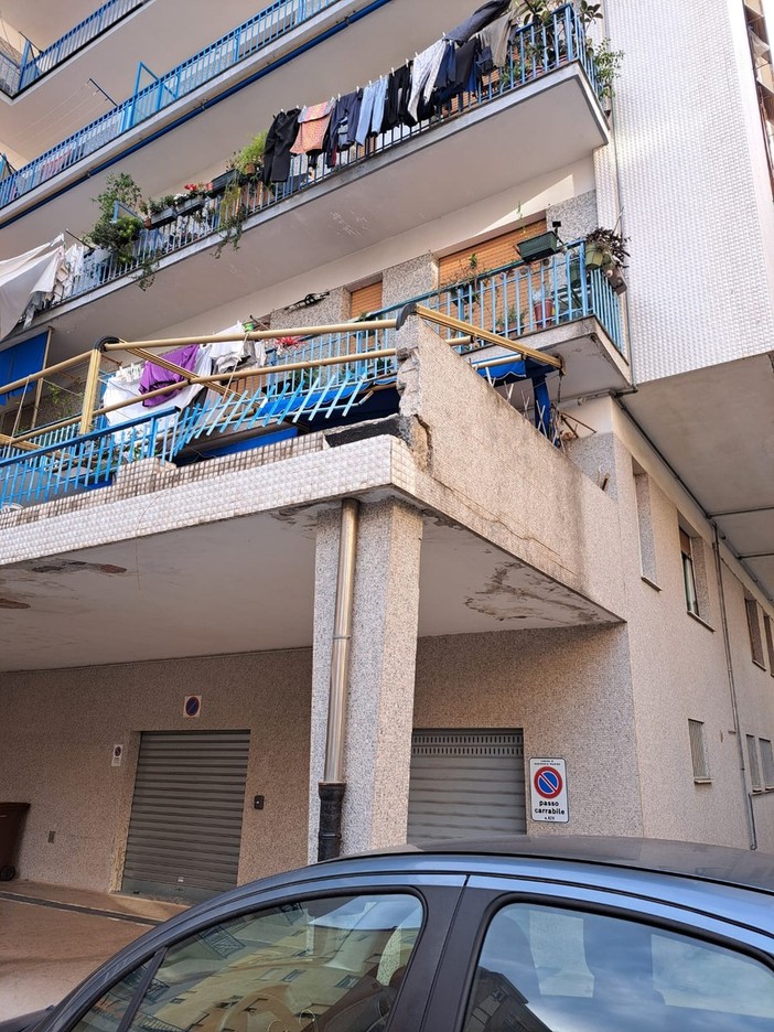 Albissola, la minoranza punta il dito sulla situazione di Piazza Lombardia: "La caduta del salice ha reso inagibile una parte di immobile"