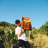 Tre premi per i vini Durin di Ortovero al concorso internazionale 5StarWines Tre premi per i vini Durin di Ortovero al concorso internazionale 5StarWines