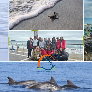 Un 2024 da ricordare: le emozioni e i traguardi di Delfini del Ponente APS Un 2024 da ricordare: le emozioni e i traguardi di Delfini del Ponente APS