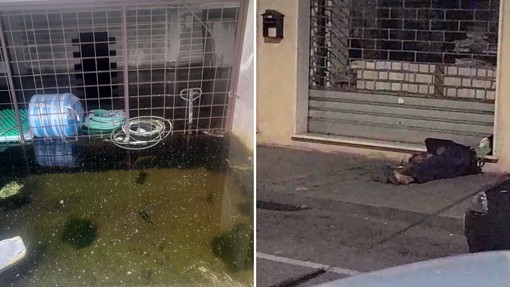 Albenga, acqua stagnante e zanzare nei palazzi ex Giallombardo: cittadini lanciano allarme West Nile e degrado
