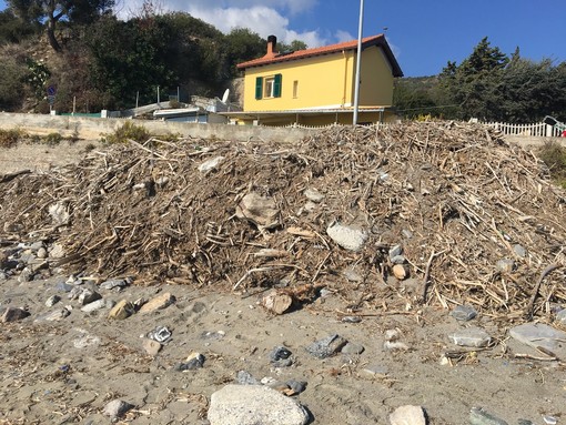 Alassio/Albenga, dove sono finiti i detriti dell'alluvione dello scorso novembre? (FOTO)