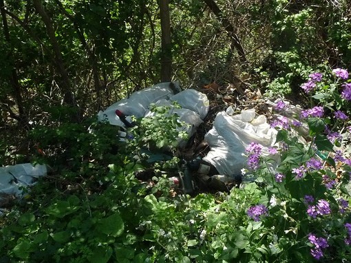 Giornata ecologica a Tovo San Giacomo, parteciperanno anche gli eco vigili Giornata ecologica a Tovo San Giacomo, parteciperanno anche gli eco vigili