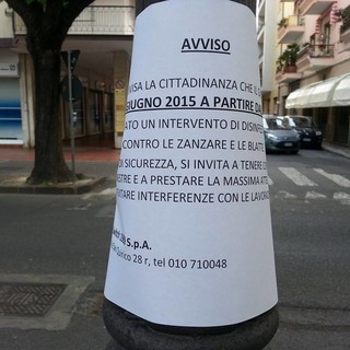 Albenga: disinfestazione da zanzare e blatte, tenere le finestre chiuse