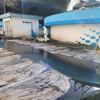 Miasmi dal depuratore di Borghetto, i sindaci Canepa e De Fezza: "La problematica ha assunto proporzioni incontrollate, servono interventi incisivi ed immediati" Miasmi dal depuratore di Borghetto, i sindaci Canepa e De Fezza: "La problematica ha assunto proporzioni incontrollate, servono interventi incisivi ed immediati"