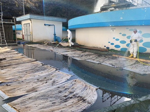 Miasmi dal depuratore di Borghetto, i sindaci Canepa e De Fezza: "La problematica ha assunto proporzioni incontrollate, servono interventi incisivi ed immediati"