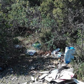 Foto tratte dalla pagina Facebook "Risolleviamo Borghetto"