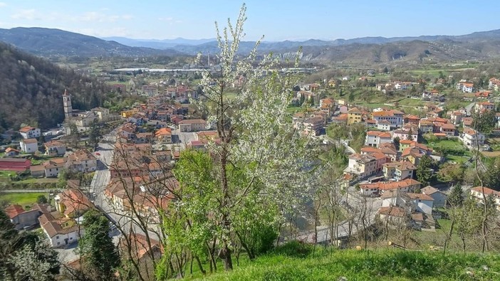Dego, i giovani del catechismo vendono piantine di Goji per aiutare la missione brasiliana di San Salvador nel Tocantins