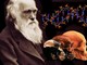 Ceriale, Darwin Day al Museo Paleontologico Silvio Lai Ceriale, Darwin Day al Museo Paleontologico Silvio Lai
