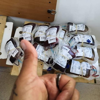 AVIS Liguria: in arrivo DinApp, l’applicazione rivolta ai donatori di sangue AVIS Liguria: in arrivo DinApp, l’applicazione rivolta ai donatori di sangue