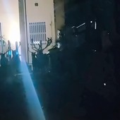 Screenshot del video pubblicato sulla pagina Facebook "Loano (SV) Liguria Italy"