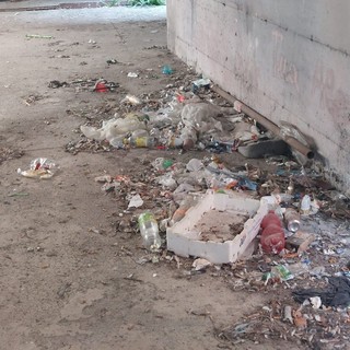 Savona, i residenti della case popolari di via Milano lanciano l'allarme: "Ci fanno vivere nello sporco, condizione igienico-sanitaria a livello di guardia" (FOTO e VIDEO)