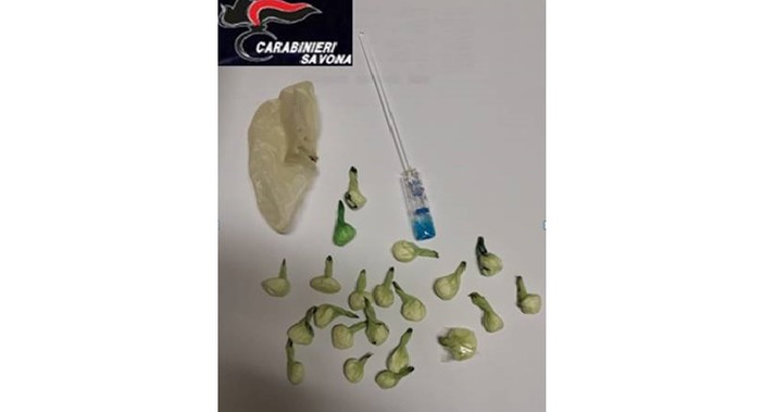 In giro con 21 dosi di cocaina in tasca: pusher arrestato a Vado Ligure