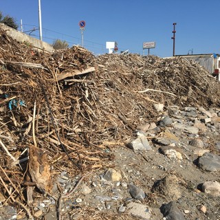 Una montagna di detriti alluvionali ancora sulla spiaggia tra Albenga e Alassio, Vinai: "Stiamo cercando risorse per intervenire"