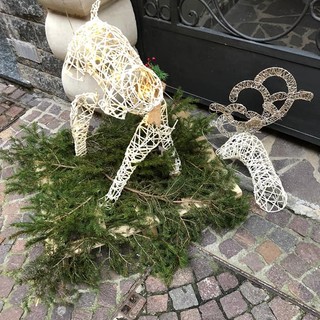 Distrutte decorazioni natalizie nel centro di Carcare, sindaco De Vecchi: &quot;Indagini avviate, non escludiamo applicazione del Daspo&quot; (FOTO)