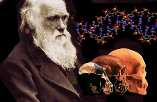 Ceriale, Darwin Day al Museo Paleontologico Silvio Lai Ceriale, Darwin Day al Museo Paleontologico Silvio Lai