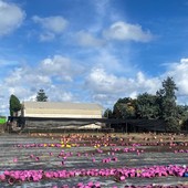 Alluvione ad Albenga, Ciotta (Coldiretti) sul Tavolo Verde: “Percorsi lunghi per l’emergenza agricoltori, speriamo nel PSR" Alluvione ad Albenga, Ciotta (Coldiretti) sul Tavolo Verde: “Percorsi lunghi per l’emergenza agricoltori, speriamo nel PSR"