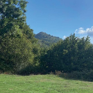 "Quando gli alberi parlano": Donatella Alfonso presenta a Savona il suo romanzo sulla Resistenza ligure "Quando gli alberi parlano": Donatella Alfonso presenta a Savona il suo romanzo sulla Resistenza ligure