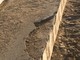 LoaNoi ancora all'attacco sul degrado delle spiagge libere loanesi (FOTOgallery) LoaNoi ancora all'attacco sul degrado delle spiagge libere loanesi (FOTOgallery)