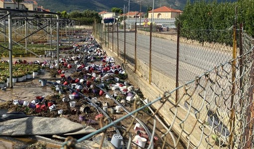 Danni maltempo Albenga e in Val Bormida nel 2024, stanziati 3 milioni di euro per famiglie, imprese, attività e associazioni colpite Danni maltempo Albenga e in Val Bormida nel 2024, stanziati 3 milioni di euro per famiglie, imprese, attività e associazioni colpite