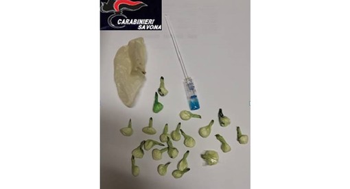 In giro con 21 dosi di cocaina in tasca: pusher arrestato a Vado Ligure