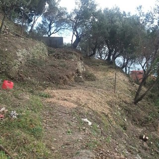 Immagine di repertorio