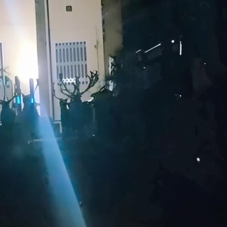 Screenshot del video pubblicato sulla pagina Facebook "Loano (SV) Liguria Italy"