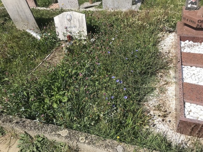 Degrado al cimitero di Mioglia, una lettrice: &quot;Basita dalla risposta ufficiale del Comune&quot;