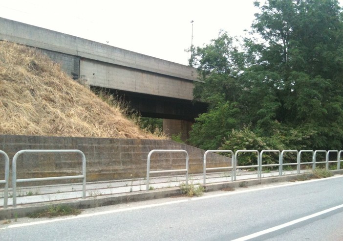 l'effetto del "defogliante"