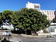 Dormono dentro l'ex ospedale di Albenga: denunciati dalla polizia locale Dormono dentro l'ex ospedale di Albenga: denunciati dalla polizia locale