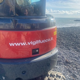 Capriolo si tuffa a Bergeggi: restituito al bosco dai Vigili del fuoco