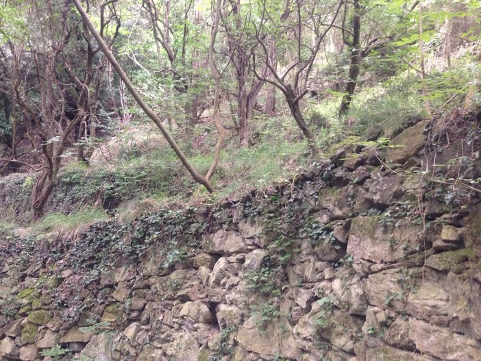 Rilancio dell'entroterra, Liguria all'avanguardia per i progetti di valorizzazione Rilancio dell'entroterra, Liguria all'avanguardia per i progetti di valorizzazione