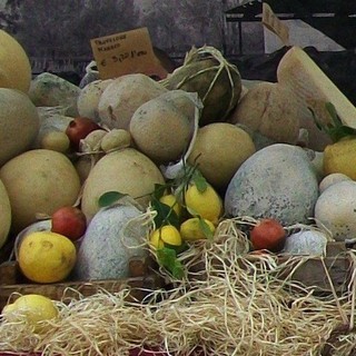 Coldiretti chiede "controlli sull'import e certificazione per tutelare il Bio made in Liguria"