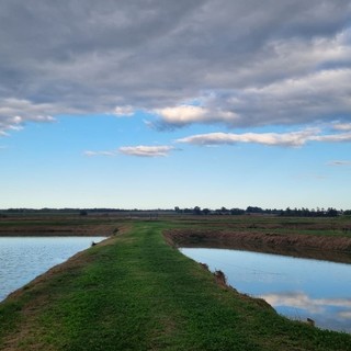 Tempo del Creato 2026 dal 1° settembre al 4 ottobre: Acqua viva