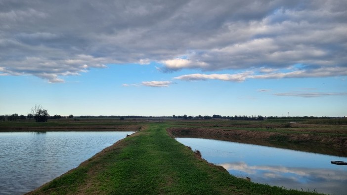 Tempo del Creato 2026 dal 1° settembre al 4 ottobre: Acqua viva Tempo del Creato 2026 dal 1° settembre al 4 ottobre: Acqua viva
