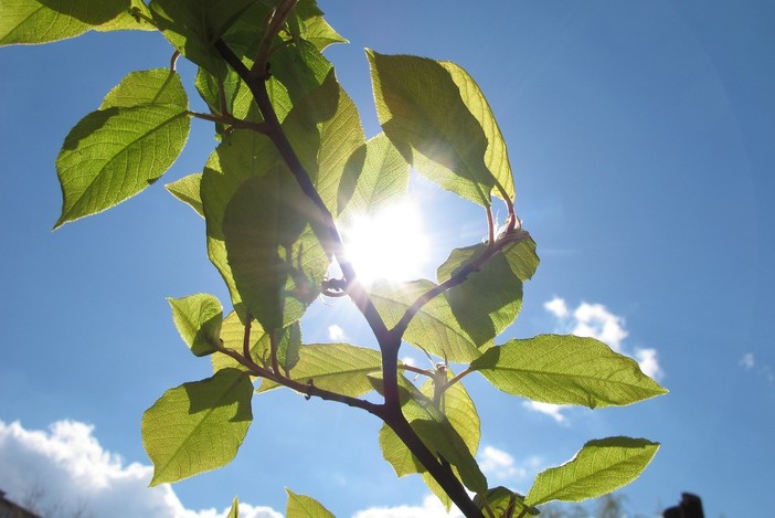 Attivazione e spegnimento del contatore gratuiti con eVISO