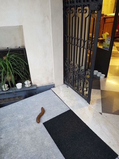 Dispetto dopo il brindisi canino a Savona: escremento di plastica davanti al negozio