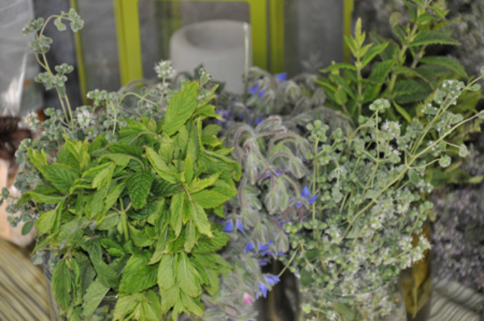 I prodotti “d'Albenga” in mostra ad Essen I prodotti “d'Albenga” in mostra ad Essen