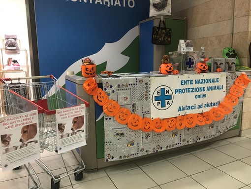 Savona: oggi raccolta alimentare per cani e gatti con i volontari Enpa