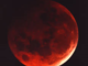 Oggi l'eclissi di Luna rossa: dopo il Sole, tocca al nostro satellite sparire nel cielo Oggi l'eclissi di Luna rossa: dopo il Sole, tocca al nostro satellite sparire nel cielo