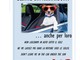 Estate 2018, Anta Liguria lancia la campagna di sensibilizzazione per invitare gli automobilisti a non lasciare i cani in auto Estate 2018, Anta Liguria lancia la campagna di sensibilizzazione per invitare gli automobilisti a non lasciare i cani in auto