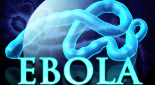 Protocollo Regionale “Malattia da Virus Ebola": in Provincia di Savona pronti ad affrontare il virus