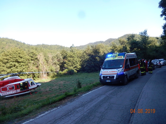 Immagini di Stefano Mallarini