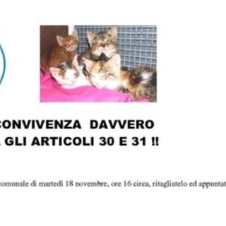 A Savona regolamento comunale di convivenza "incivile"