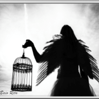 "L'effimero e l'eterno": una mostra fotografica ad Albenga