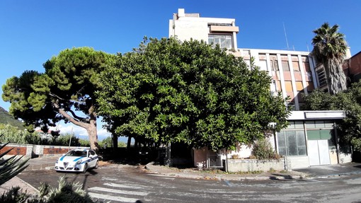 Dormono dentro l'ex ospedale di Albenga: denunciati dalla polizia locale Dormono dentro l'ex ospedale di Albenga: denunciati dalla polizia locale