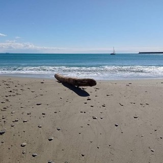 Demolizione fabbricato ex bagni Madonnetta, comitati Margonara: &quot;Venga salvaguardato l'arenile tenendolo pulito&quot;