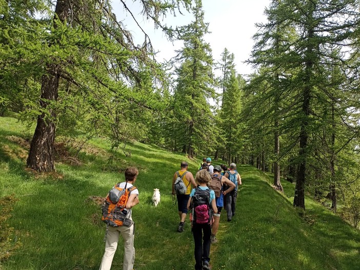 Al via la 2ª edizione delle escursioni guidate nel Parco delle Alpi Liguri. Alessandri: "Una meravigliosa full immersion nel nostro entroterra" Al via la 2ª edizione delle escursioni guidate nel Parco delle Alpi Liguri. Alessandri: "Una meravigliosa full immersion nel nostro entroterra"