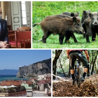 L'ombra della peste suina sul mondo outdoor finalese? Frascherelli: "Attenzione per limitare il contagio e i suoi danni"
