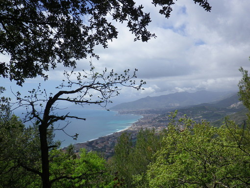 Loano non solo mare: giovedì 11 ottobre gita nelle Langhe tra La Morra, Barolo e Monforte