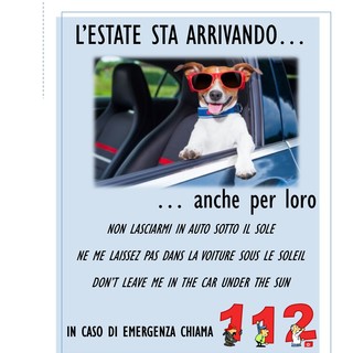 Estate 2018, Anta Liguria lancia la campagna di sensibilizzazione per invitare gli automobilisti a non lasciare i cani in auto